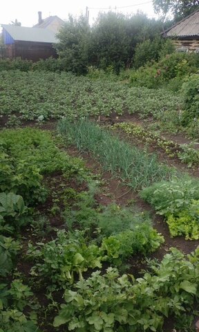 ул Гастелло Кемеровская обл. — Кузбасс фото