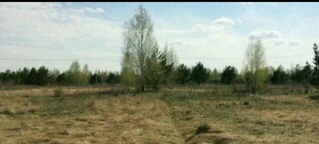 Республика Татарстан Татарстан, Надеждинское сельское поселение, садоводческое некоммерческое товарищество Петрово фото