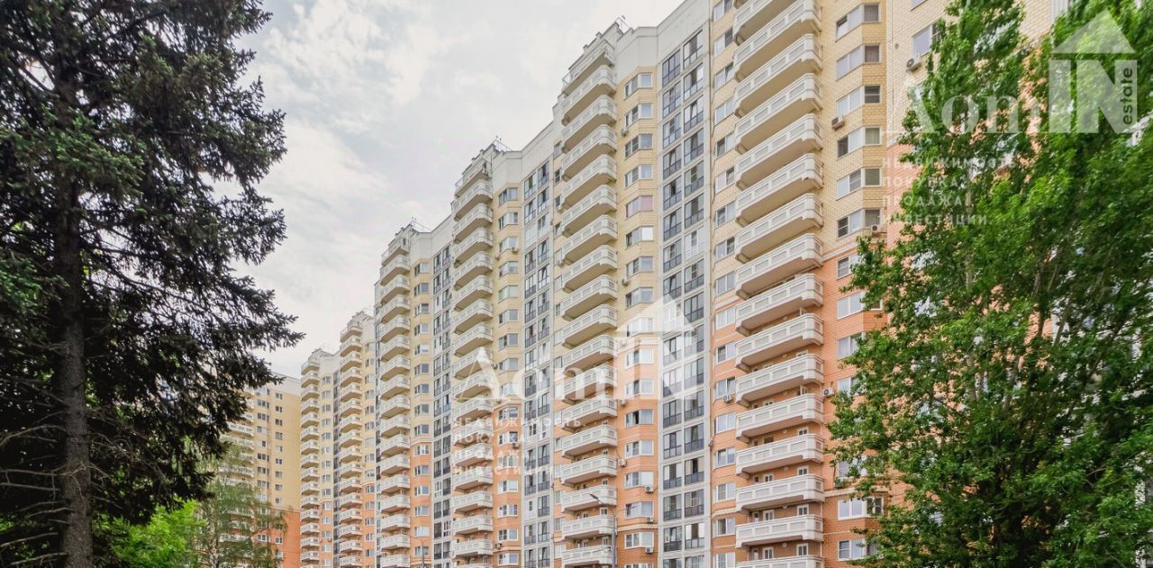 квартира г Балашиха проезд Московский 13 Щёлковская фото 2