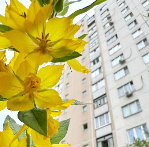 метро Сходненская проезд Досфлота 6 фото