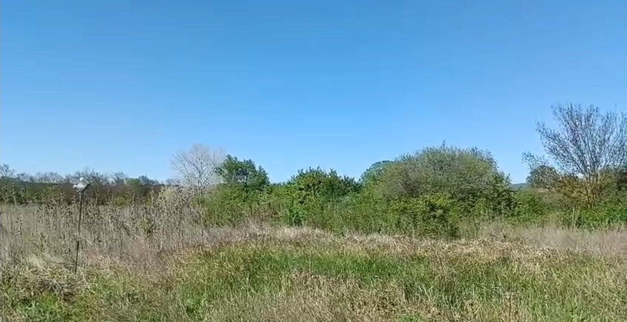 земля г Новороссийск ст-ца Раевская фото 3