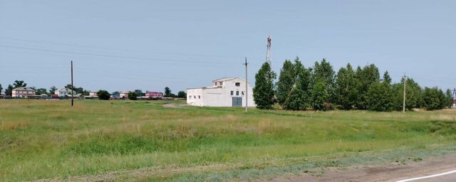р-н Родинский п Мирный ул Восточная 1д Мирненский сельсовет, Родино фото