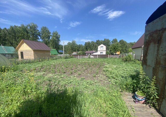 снт Чайка Ордынское шоссе, 3 км, Верх-Тулинский сельсовет, 169, Верх-Тула фото