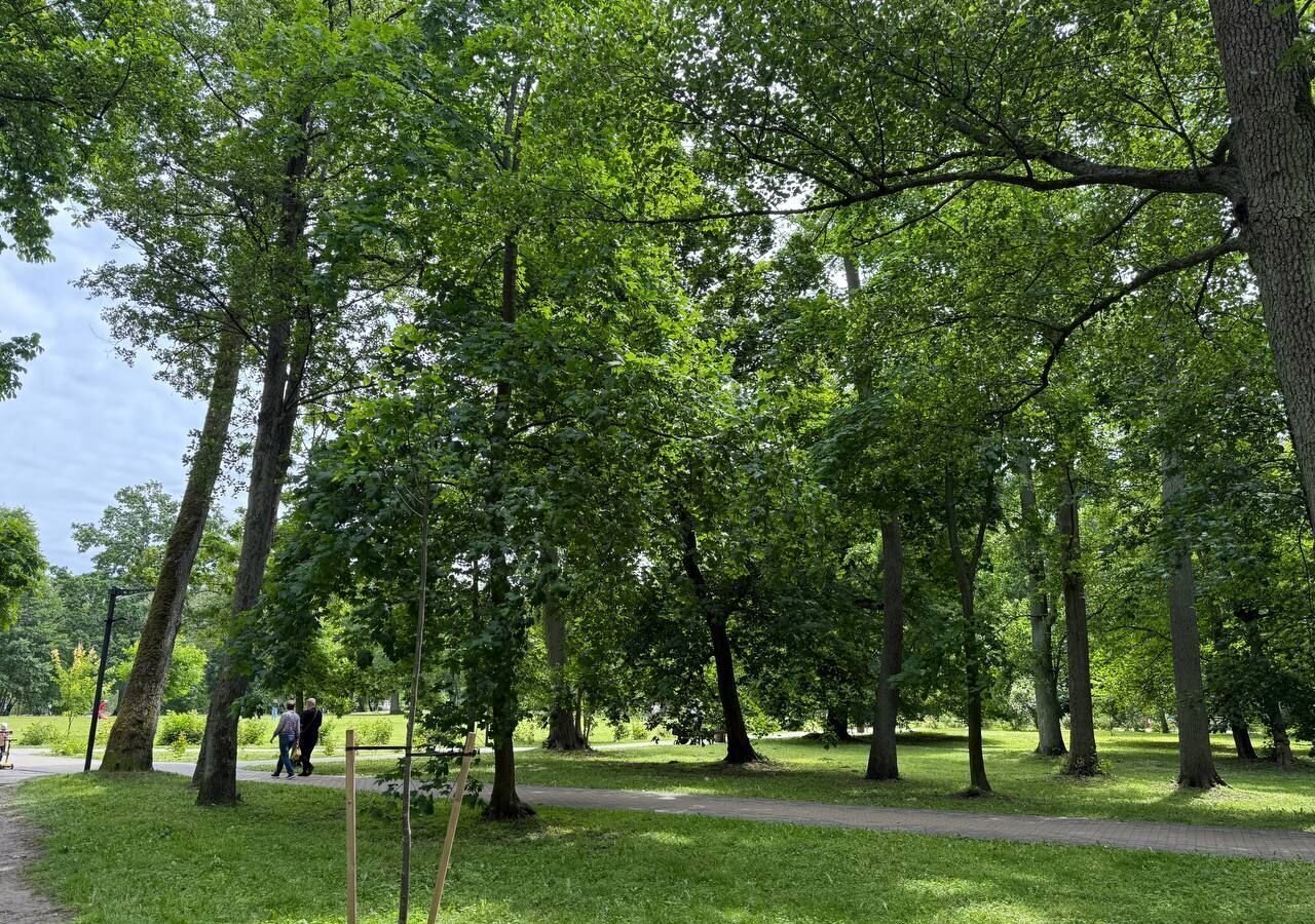 квартира р-н Зеленоградский г Зеленоградск ул Московская 66 фото 31
