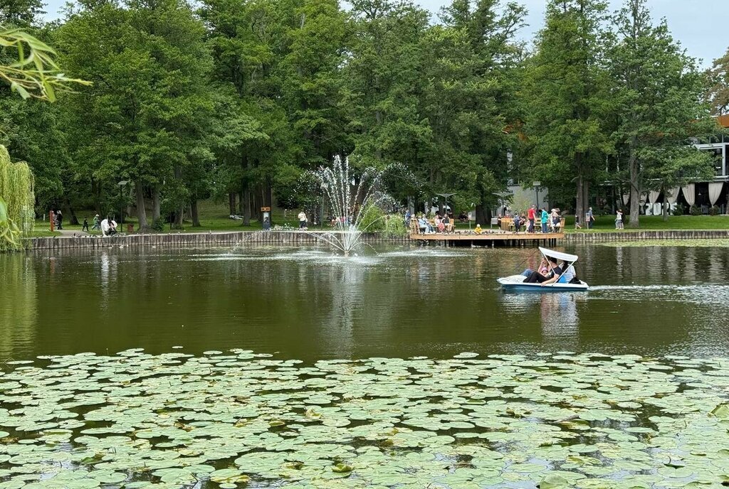 квартира р-н Зеленоградский г Зеленоградск ул Московская 66 фото 30