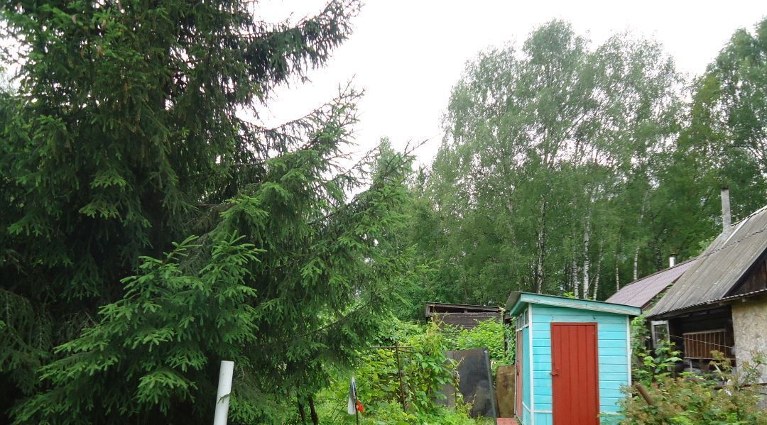 дом городской округ Богородский г Ногинск снт тер.Березка (Воровского) 208 фото 16