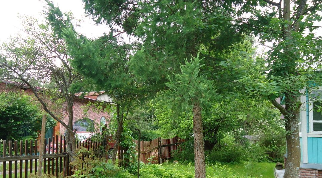 дом городской округ Богородский г Ногинск снт тер.Березка (Воровского) 208 фото 24