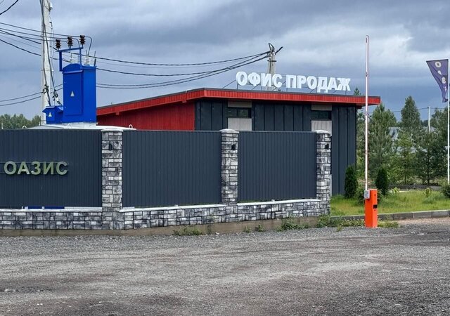 д Малые Петрищи 41 км, Черноголовка, Фряновское шоссе фото