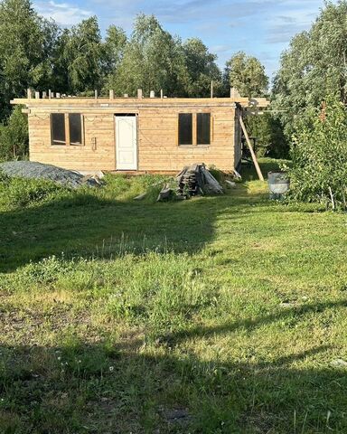 снт Кировец-2 Тюкалинский тракт, 17 км, Дружинское сельское поселение, Омский р-н фото