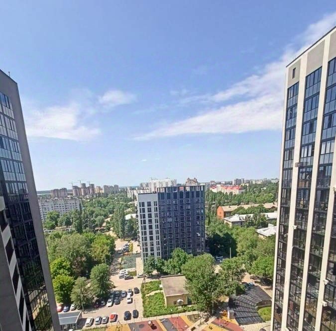 квартира г Воронеж р-н Ленинский ул Летчика Колесниченко 65а фото 1