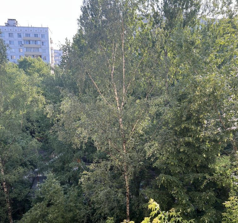 квартира г Москва метро Новогиреево ул Фрязевская 13 муниципальный округ Новогиреево фото 17