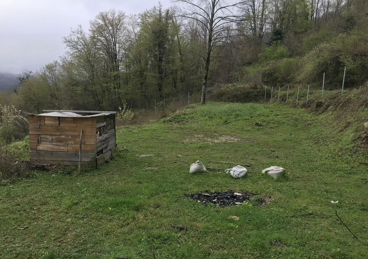 земля г Сочи р-н Адлерский с Казачий Брод садоводческое товарищество Электроника, 7 фото 6