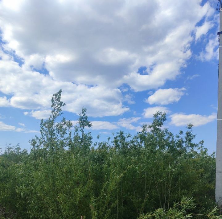 земля р-н Зеленоградский г Зеленоградск ул Витебская фото 5