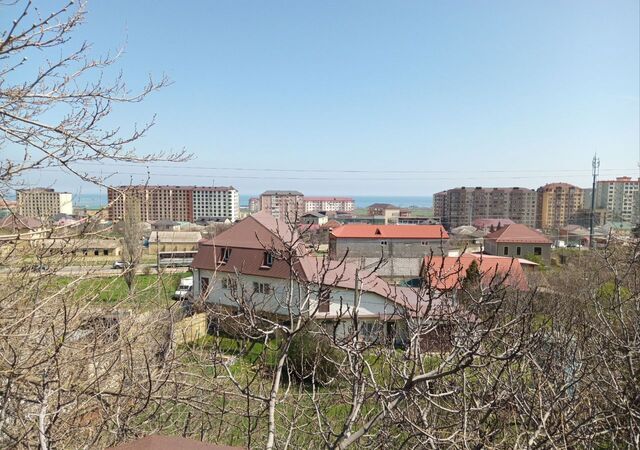 снт Горка 7Б фото