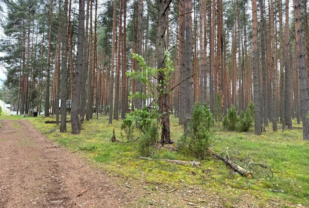земля г Череповец р-н Зашекснинский 105-й микрорайон фото 2