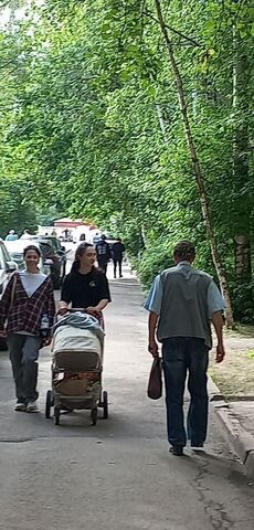 метро Проспект Просвещения ул Хошимина 13к/1б фото