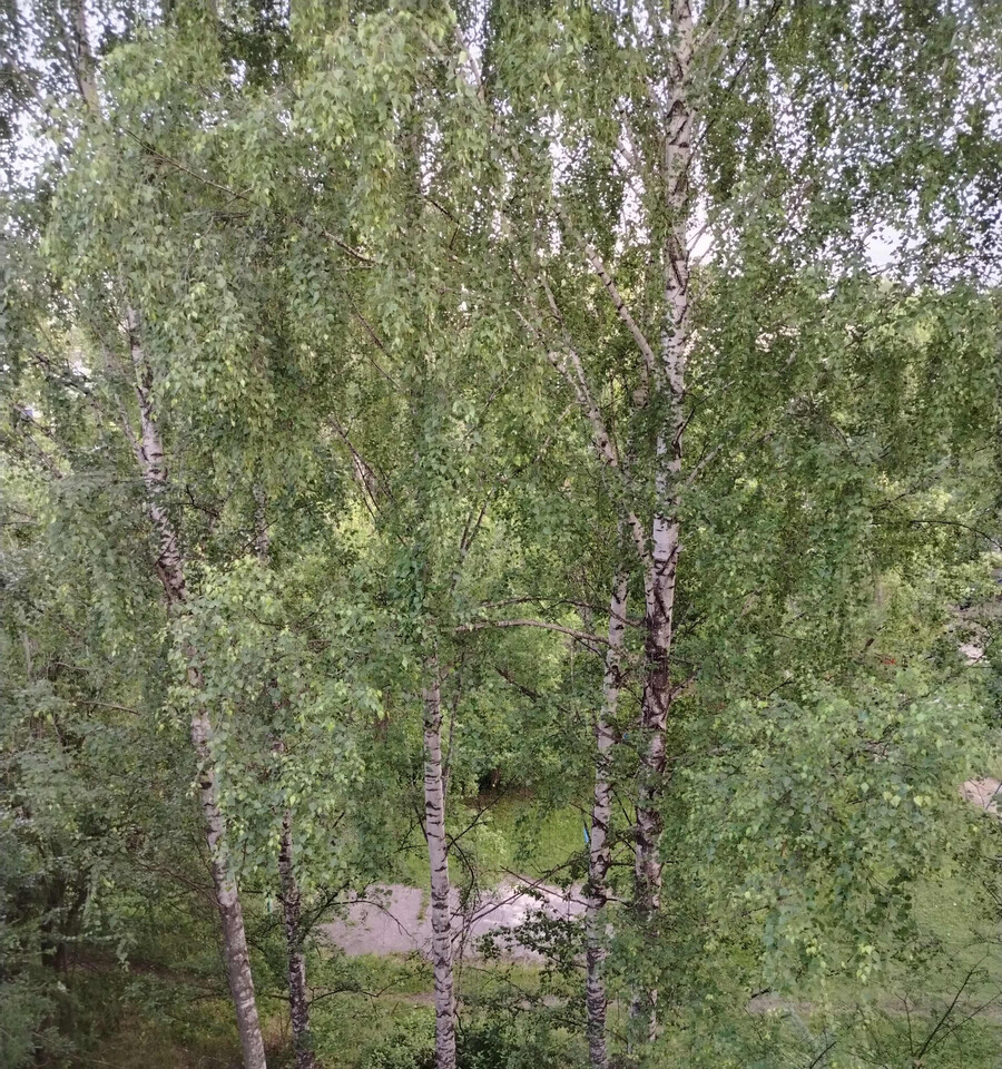 квартира г Ульяновск р-н Засвияжский ул Отрадная 54 3-й УЗТС м-н фото 5