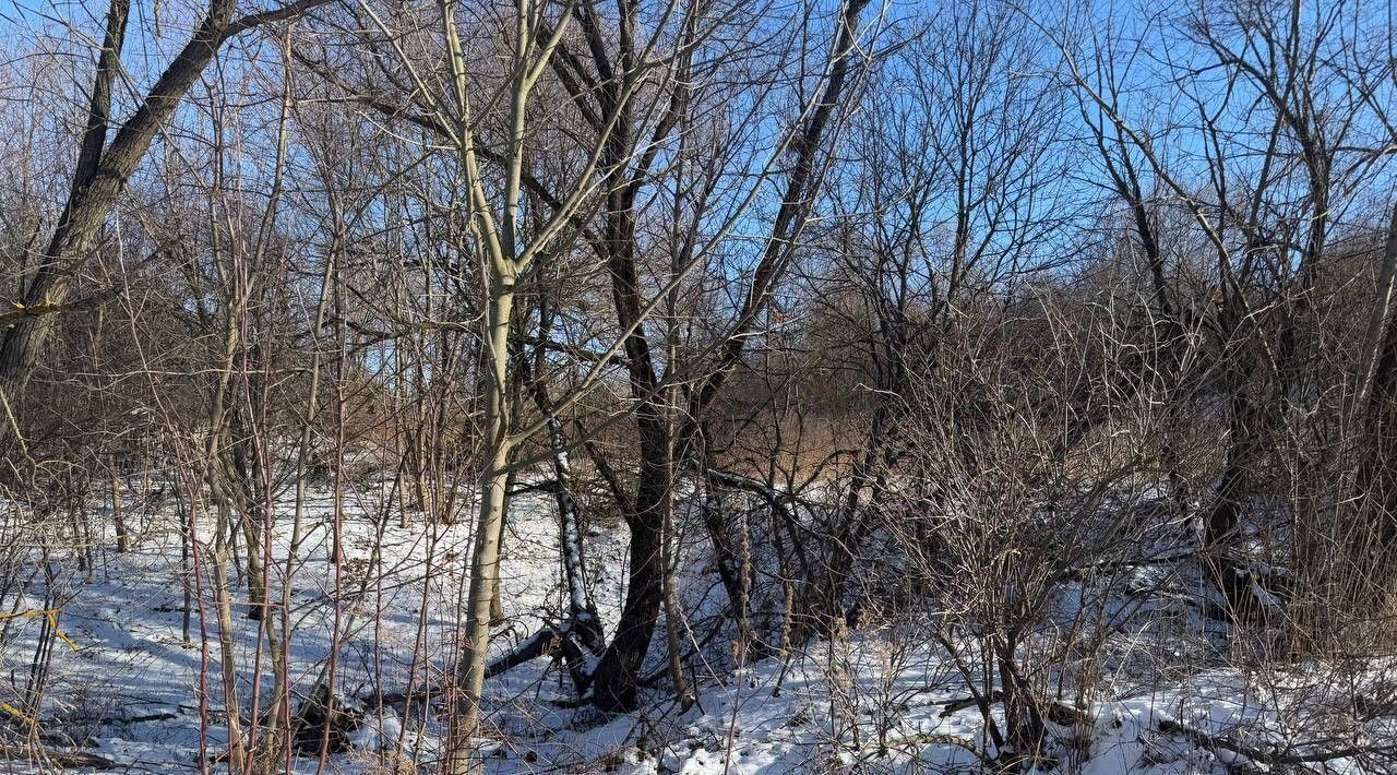 земля г Кашира д Колтово фото 1