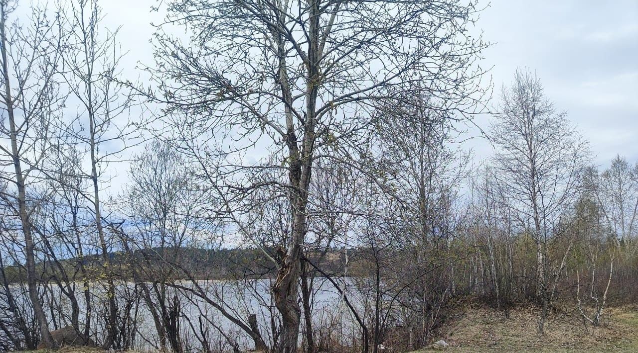 земля г Иркутск р-н Ленинский снт Иркут 2/3 фото 6