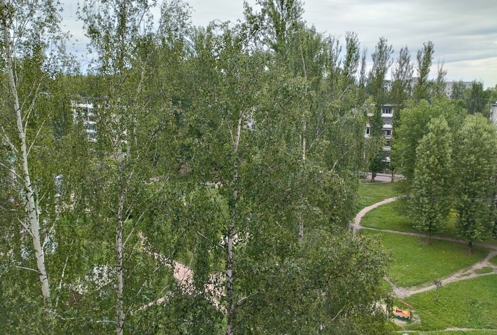 квартира г Ярославль ул Панина 45 фото 15