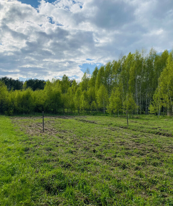 земля г Бор деревня Бузуйки фото 2