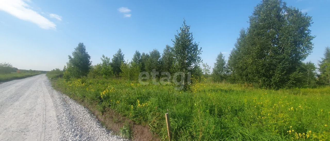 земля г Бердск Бердское шоссе, 5809 км, мкр-н Раздольный фото 2