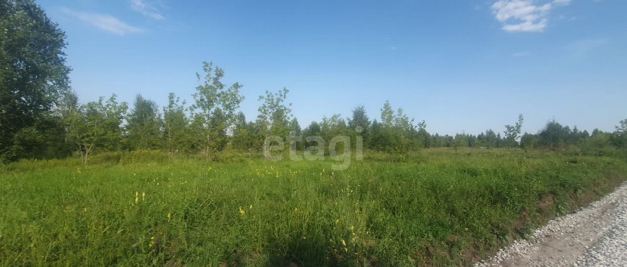 земля г Бердск Бердское шоссе, 5809 км, мкр-н Раздольный фото 4