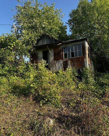 тер Василек фото