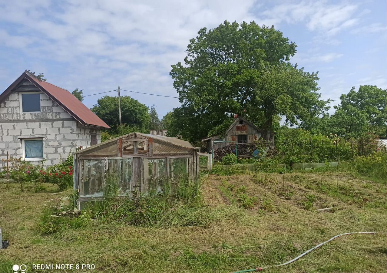 земля р-н Балтийский г Балтийск снт тер.Березка фото 9