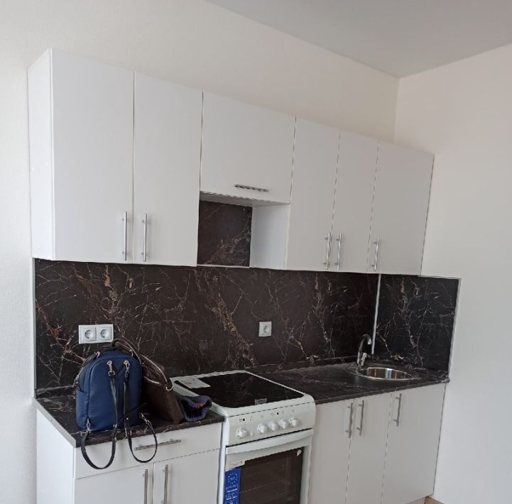 квартира г Нижний Новгород Горьковская ул Рижская 19 д. Анкудиновка фото 2