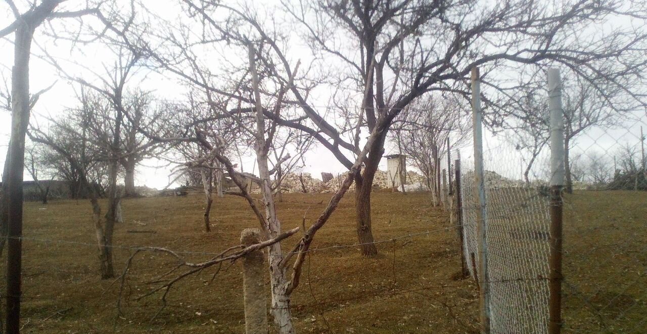 земля г Буйнакск 82К-032 фото 6