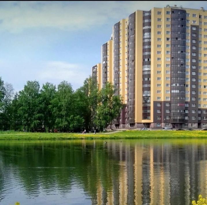 квартира г Санкт-Петербург п Металлострой ул Центральная 19к/3 метро Рыбацкое фото 16