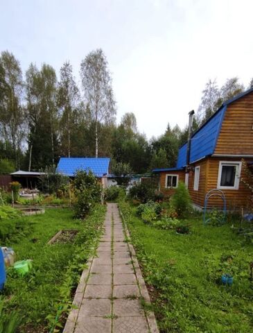 Надежда-37 садовое товарищество, 45 фото