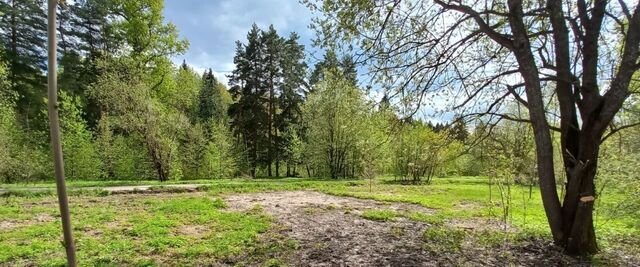 п Дедовской школы-интерната Нахабино фото