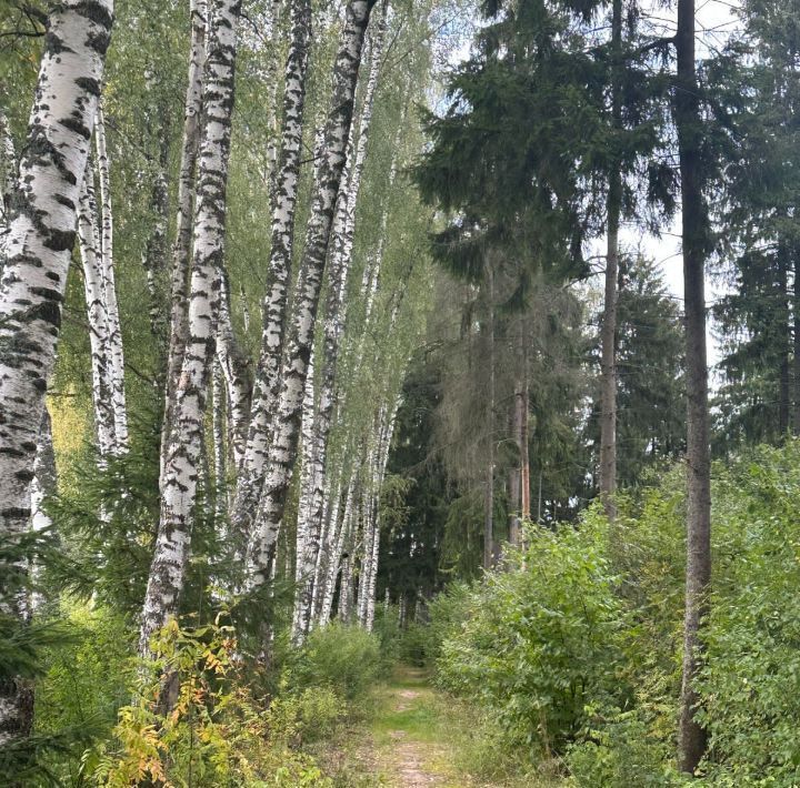 земля г Истра Тихая Заводь кп, 65 фото 10