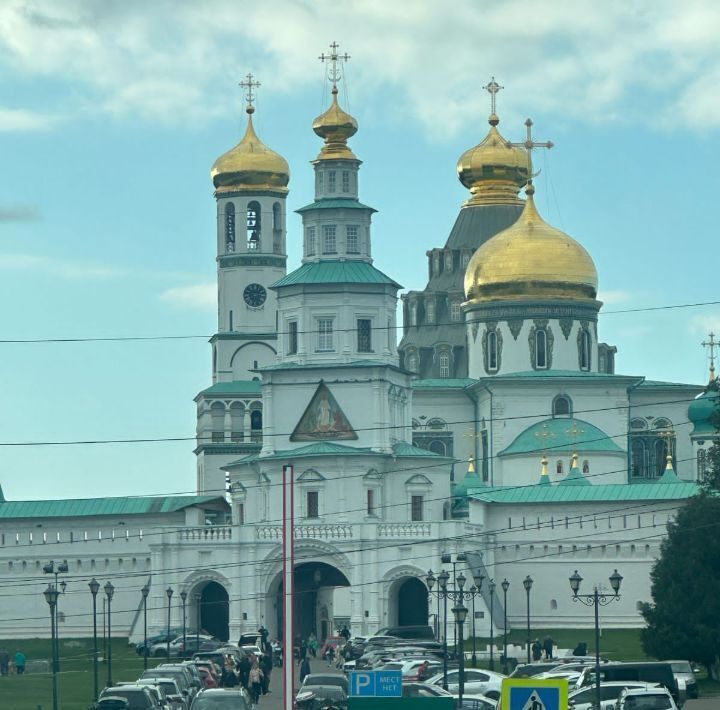 земля г Истра Тихая Заводь кп, 65 фото 19