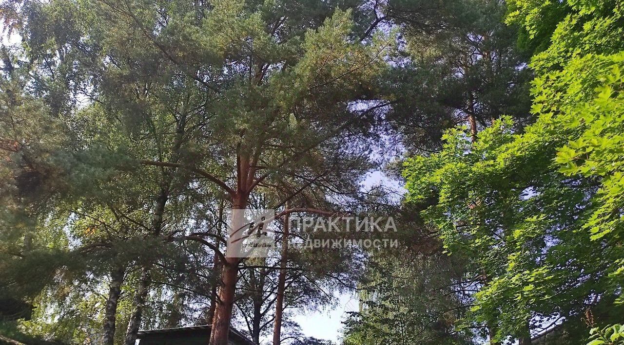 дом г Королев мкр Первомайский ул Володарского 8 фото 9