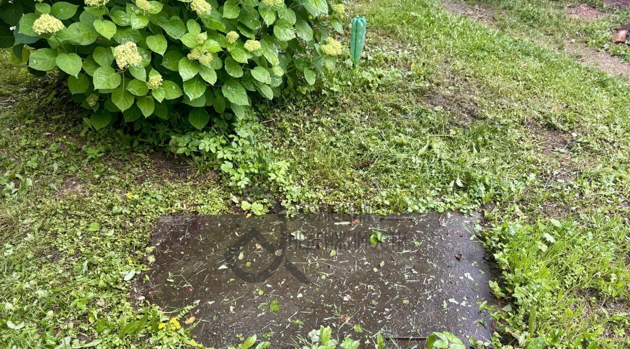 дом городской округ Истра г Дедовск ул Московская 27 Нахабино фото 24