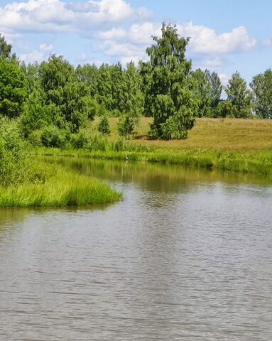 с Глухово ул Почтовая Дивеево фото