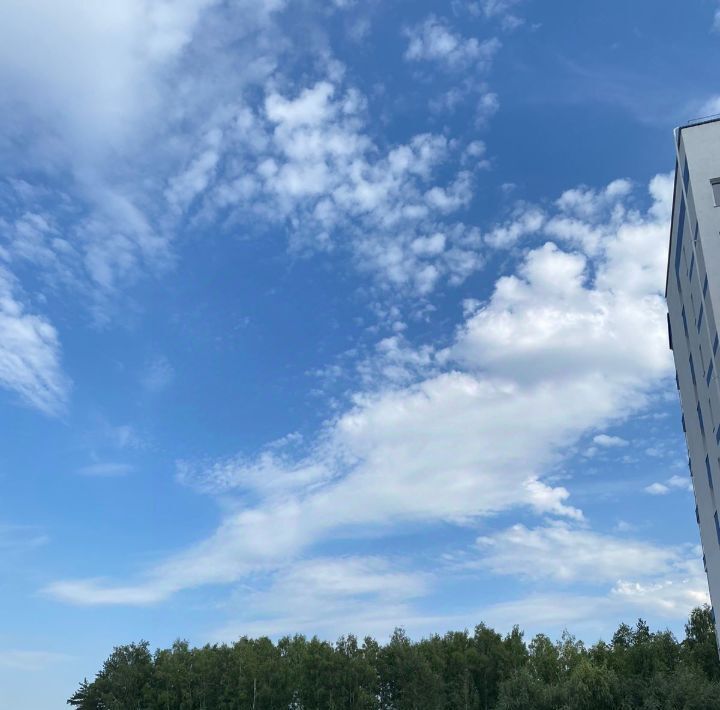 квартира г Барнаул р-н Центральный тракт Змеиногорский 35а/1 фото 25