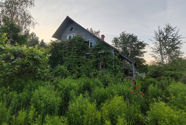 деревня Большое Буньково, СНТ Родник, Южная улица, 90 фото
