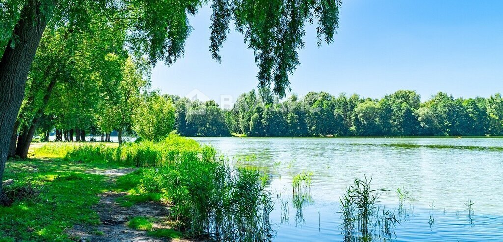 земля городской округ Богородский г Старая Купавна ул Советская Железнодорожная фото 4