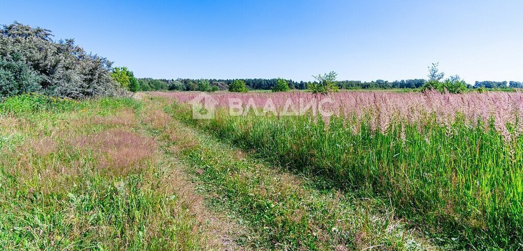 земля городской округ Богородский г Старая Купавна ул Советская Железнодорожная фото 4