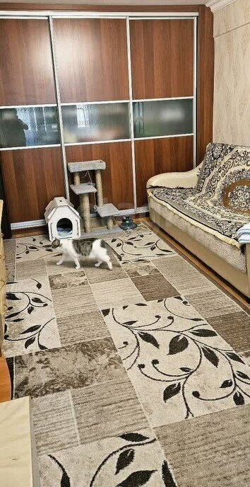 квартира г Омск ул 21-я Амурская 20 фото 6