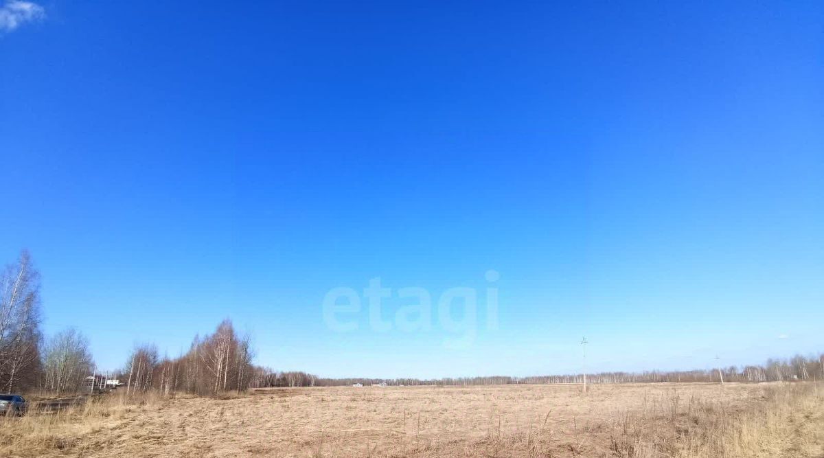 земля г Кострома фото 13