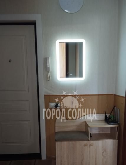 квартира г Омск р-н Центральный ул Н.М.Ядринцева 24 фото 11