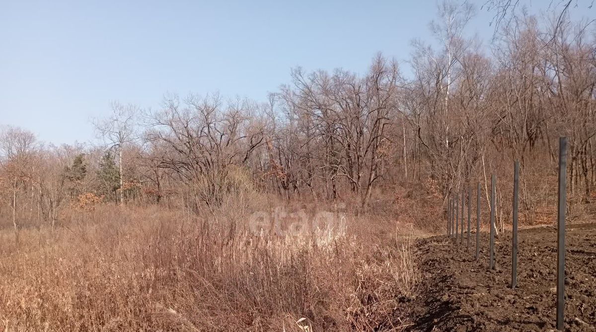 земля г Артем снт Родник-1 ул Гагарина 56 фото 12