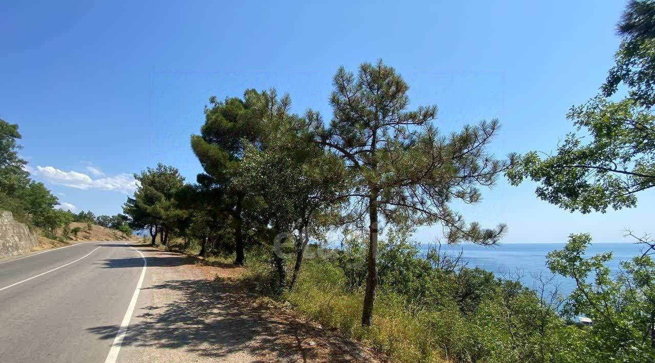 земля г Алушта с Лазурное ул Слуцкого фото 6