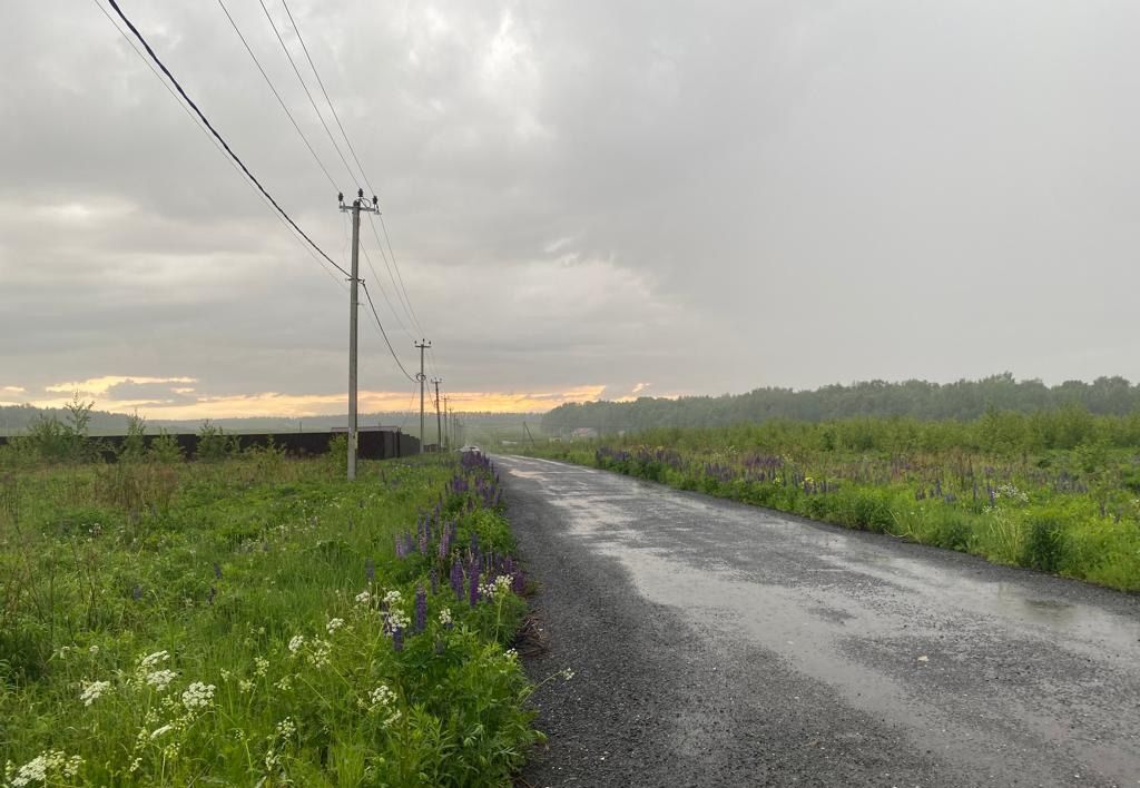 земля г Нижний Новгород Автозаводская пр-кт Гагарина 228 фото 3