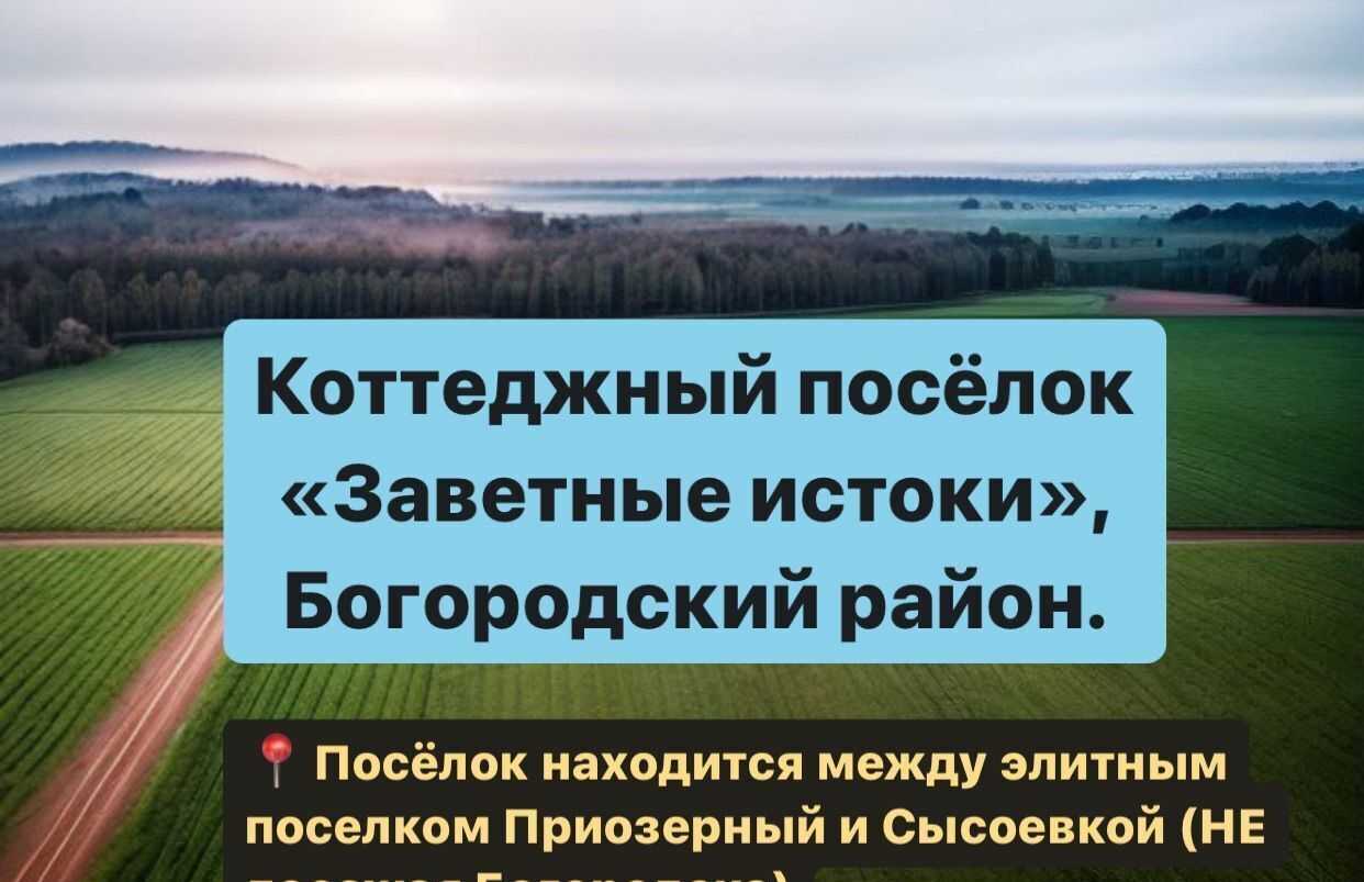 земля г Нижний Новгород Автозаводская пр-кт Гагарина 228 фото 2